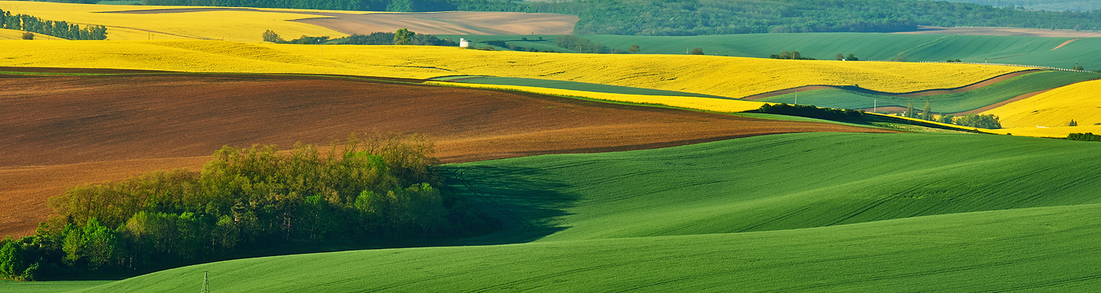 20 tipů ke správnému podání Jednotné žádosti Jak se vyvarovat chyb při podání Jednotné žádosti? Co je dobré vědět a kam se obrátit, když mám probléme s vyplněním? Na tyto a další otázky odpoví přehledný leták 20 tipů ke správnému podání Jednotné žádosti.